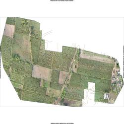 DroneSurvey